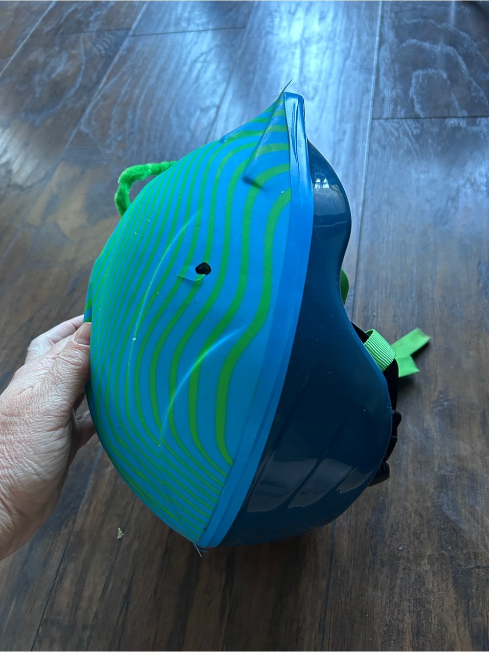 Schwinn Kids Helmet Blue and Green